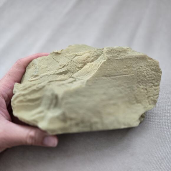 Engraved Rhino Resin Slate Figurine - Picture 7 of 8